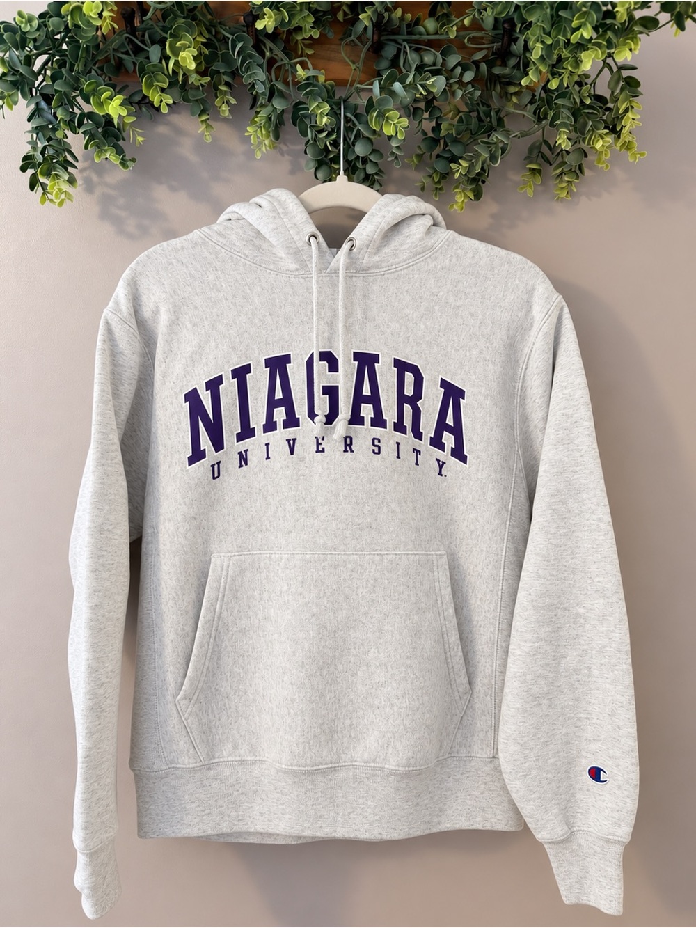 Champion Reverse Weave Niagara University Hoodie Size Small